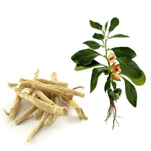 Let's talk about Ashwagandha