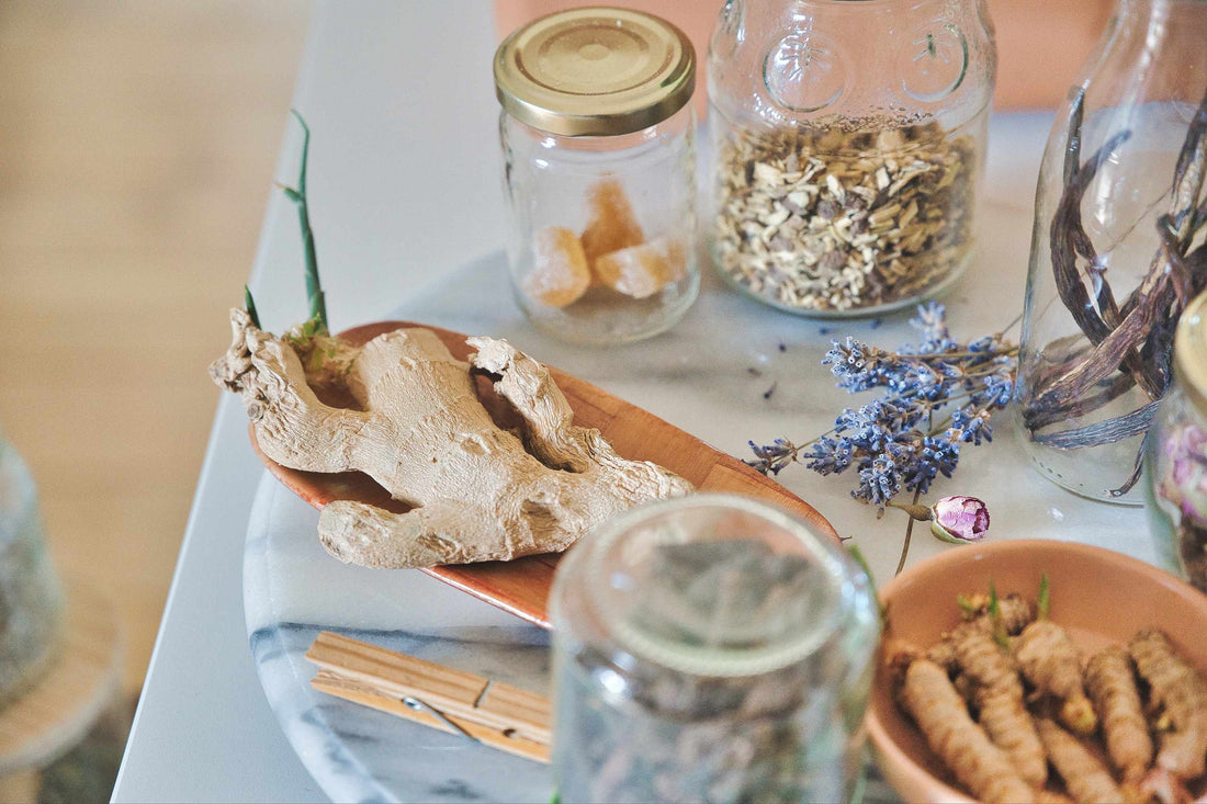 Nurturing Wellness: The Timeless Power of Ayurvedic Herbs