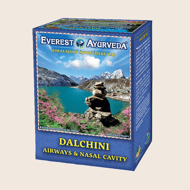 Dalchini Tea